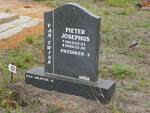 TWISK Pieter Josephus, van 1913-2006