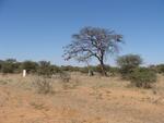 Namibia, OTJOZONDJUPA region, Otjiwarongo, New Market 156, farm cemetery