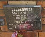 GELDENHUYS N.D. 1927-2004 & J.A. van SCHALKWYK 1937-2009
