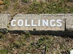 COLLINGS