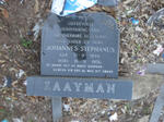 ZAAYMAN Johannes Stephanus 1894-1956
