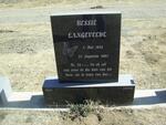 LANGEVELDE Bessie 1945-2004