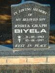 BIYELA Joshua Graph 1963-1997