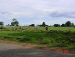 Gauteng, BENONI district, Rural (farm cemeteries)