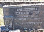 RADUE Alfred 1889-1946