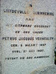 VERMEULEN Petrus Jacobus 1867-1930