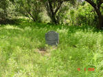 Gauteng, KRUGERSDORP district, Magaliesburg, Steenkoppie 153, farm cemetery_1