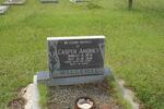 WILLEMSE Casper Andries 1878-1958