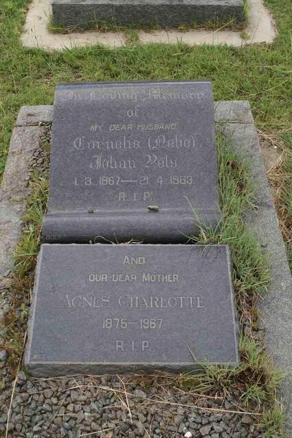VELS Cornelis Johan 1867-1963 & Agnes Charlotte 1875-1967