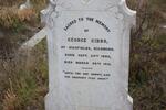 GIBBS George 1849-1912