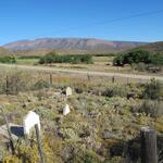 Western Cape, LADISMITH district, Anysberge, Mierefontein 25, Bobbejaanfontein, farm cemetery