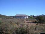 Western Cape, LADISMITH district, Okkerskraal 200, Ockertskraal_2, farm cemetery