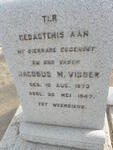 VISSER Jacobus M. 1873-1947