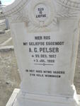 PELSER A.C. 1887-1928