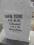 ZERBE David 1907-1929