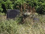 Eastern Cape, HANKEY district, Patensie 65, Gonnakop farm cemetery