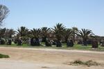 Namibia, WALVIS BAY / WALVISBAAI, Main cemetery