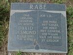 RABE David Desmond 1982-1982