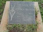 HEEVER Hester A., van den 1853-1931