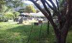 Western Cape, SEDGEFIELD, Main cemetery