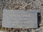 SANDER Reinhold 1914-1934