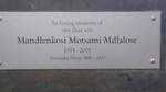 MDLALOSE Mandlenkosi Motsami 1974-2001