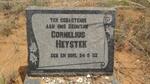HEYSTEK Cornelius -1952