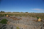 Northern Cape, PRIESKA district, Boegoeberg, Boegoeberg Water Reserve 1, Skerpioenpunt, farm cemetery_1