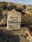 HINTERBERG E. 1877-1905
