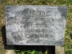 JAKINS Albert 1892-1895