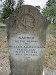 RIPPON William James -1922