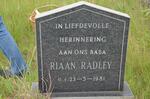RADLEY Riaan 1981-1981