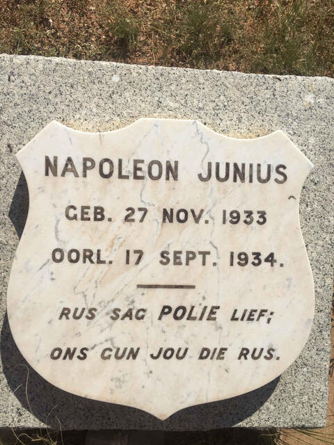 JUNIUS Napoleon 1933-1934
