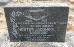 LINDEQUE Hester Jacomina nee DU PREEZ 1883-1949