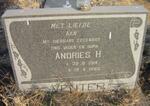VENTER Andries H. 1914-1985