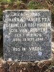 OOSTHUIZEN Johanna Andrietta Petronella nee VAN ROOYEN 1878-1948