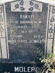 MOLEPO Damari 1961-1961
