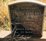 BOKABA Amon -1937
