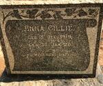 CILLIE Anna 1919-1925