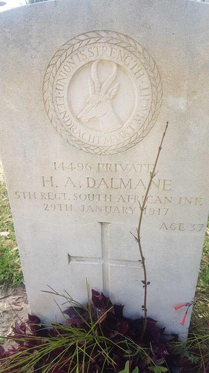 DALMANE H.A. -1917