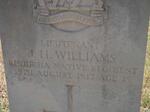 WILLIAMS J.H. -1917
