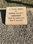 ANDERSON Austen Elliott 1889-1955