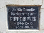 BRUWER Piet 1974-2009