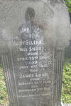 LONG James 1838-1916 & Mary Selena SHORT 1840-1901