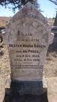 BOSCH Hester Maria nee DU PREEZ 1855-1926