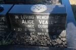 VEALL Alice nee GUSH 1916-1981 :: DE LA HARPE Hubert Charles 1930-1980 & Sheila Anne GUSH 1934-2002