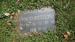 POSTHUMUS Andries 1962-2002