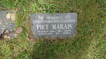 MARAIS Piet 1955-2004