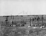 Namibia, ERONGO region, Swakopmund, Treckkoppje (Trekkopje), War cemetery