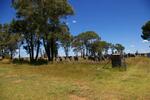 Free State, THEUNISSEN, Old main cemetery
